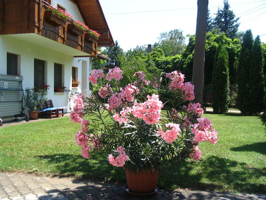 Sommer Panzio Balatonfoldvar Luaran gambar